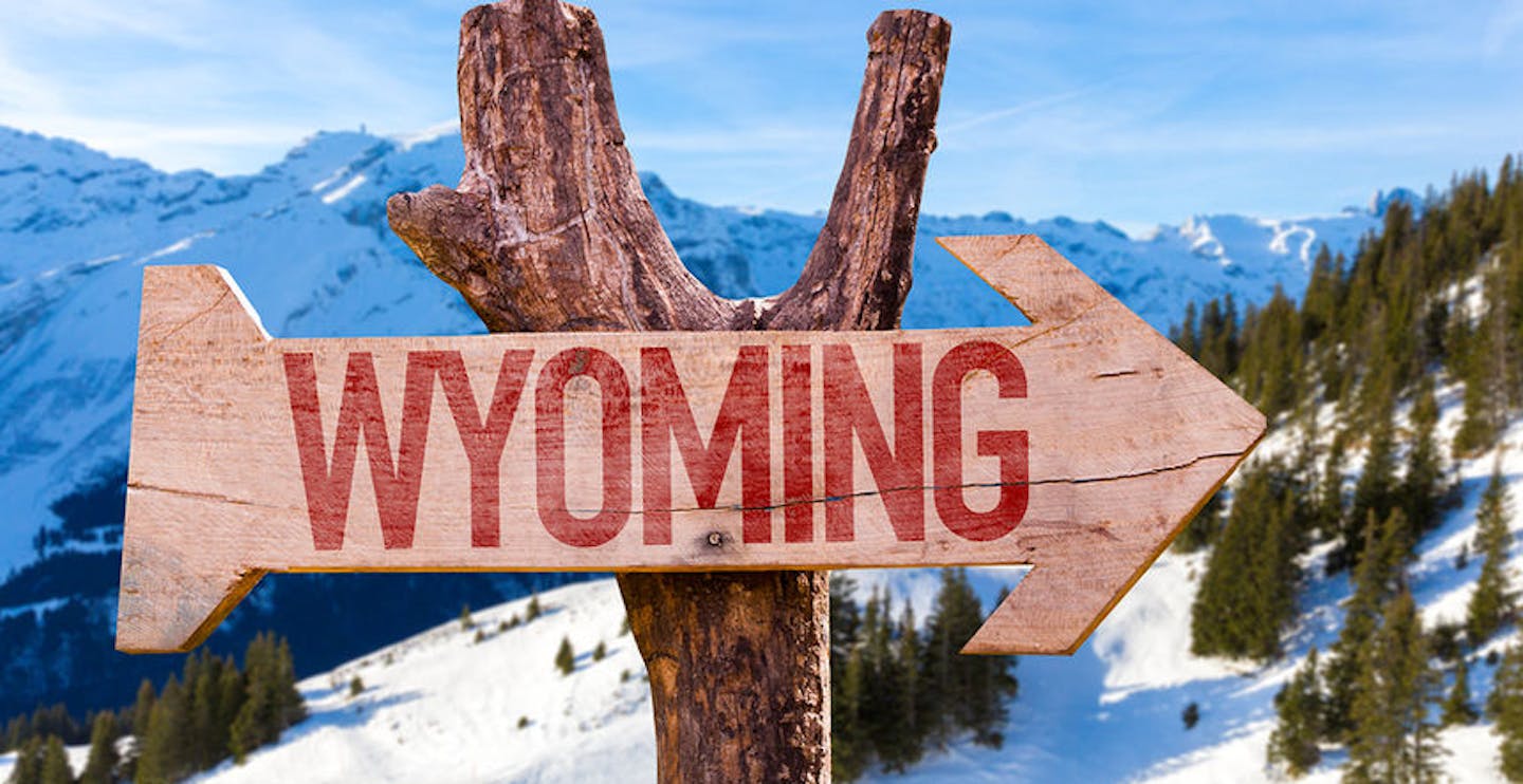 Wyoming wooden sign