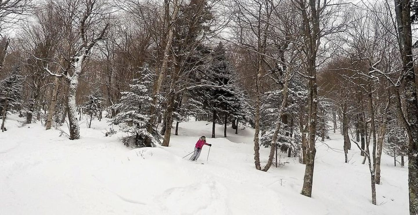 Tree skiing here is a must at Jay Peak!