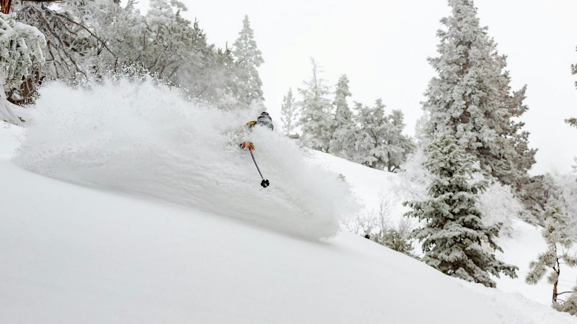 Skier of undiscernible gender and appearance hitting the slopes at Bear Mountain near Los Angeles in California, USA.