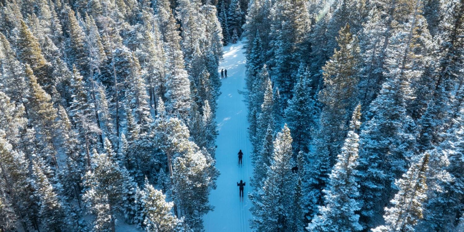 Four Nordic skiers hitting the slopes at Eldora Mountain Resort near Denver in Colorado, USA.