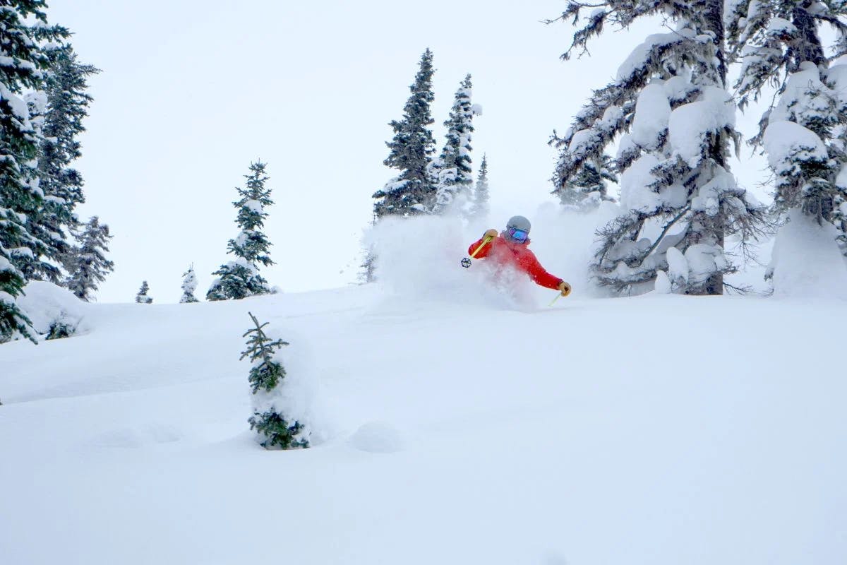Skier of undiscerible gender in orange ski jacket hitting the slopes at Fernie Alpine in British Columbia, Canada.