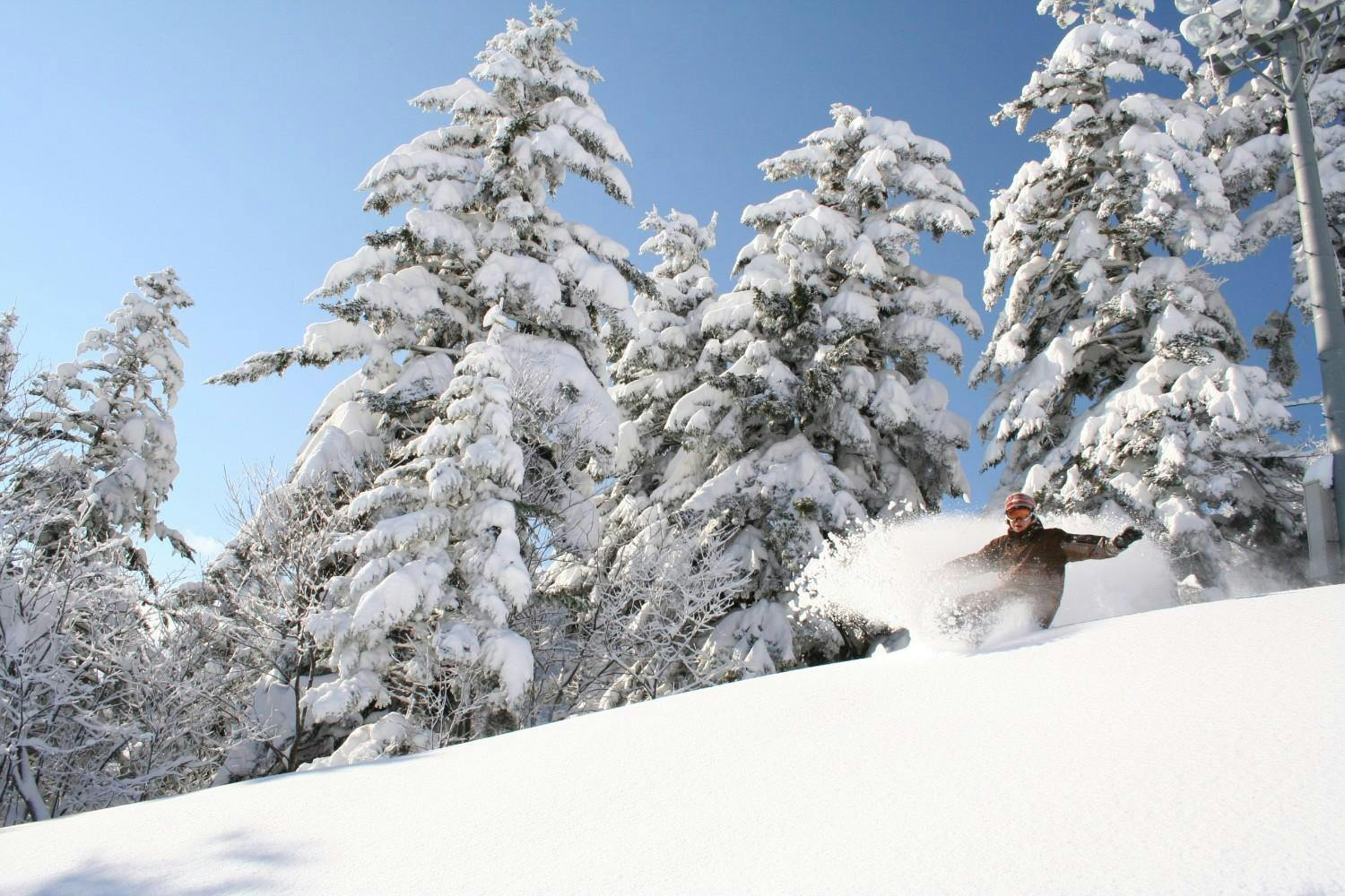Snowboarder of undiscernible gender in brown snowboard attire hitting the slopes at Furano Ski Resort in Hokkaido, Japan.