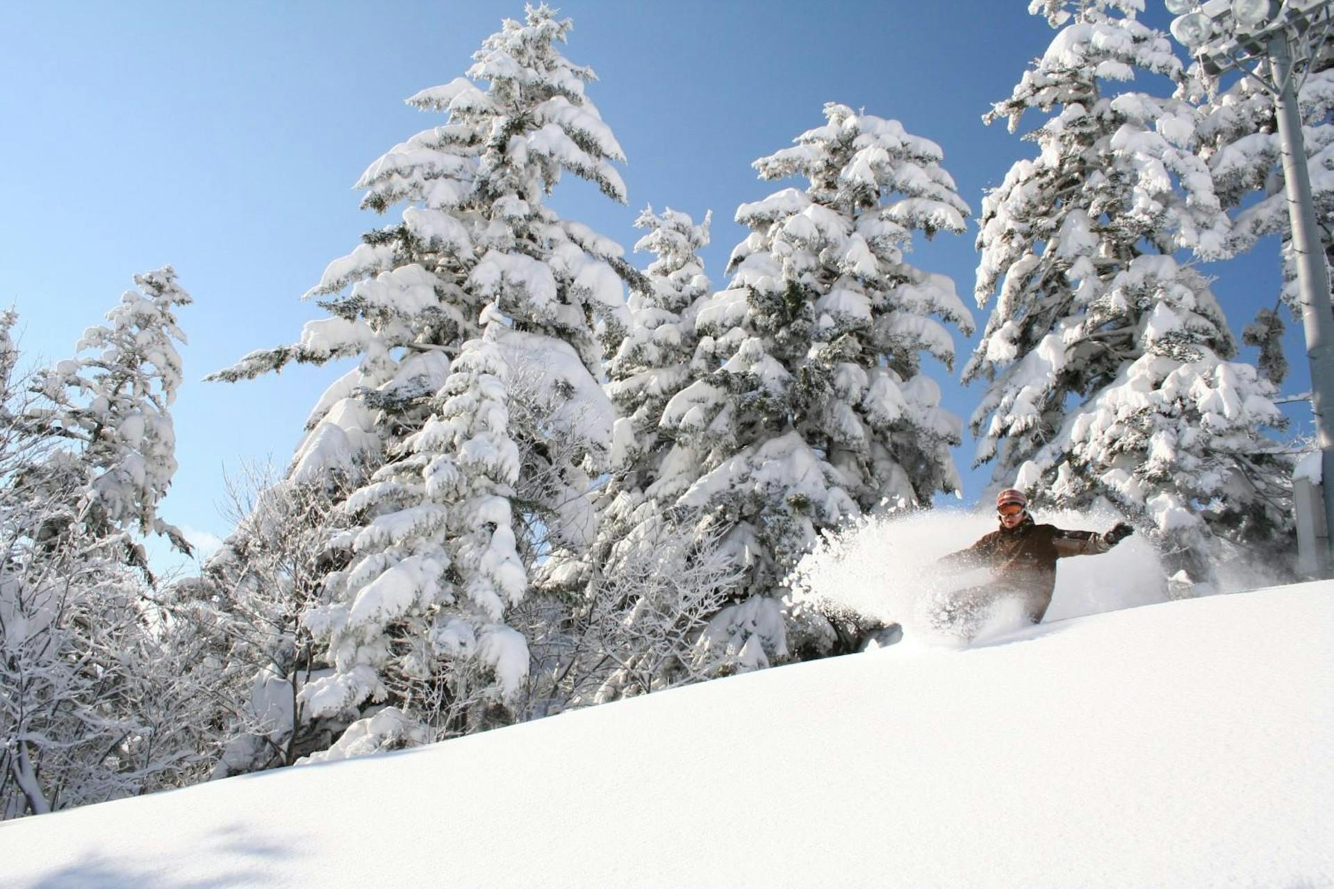 Snowboarder of undiscernible gender in brown snowboard attire hitting the slopes at Furano Ski Resort in Hokkaido, Japan.