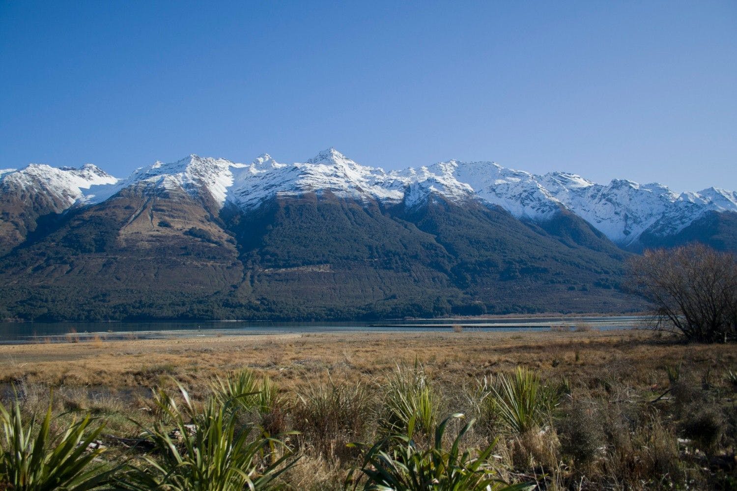 Queenstown, New Zealand, covered in snow.