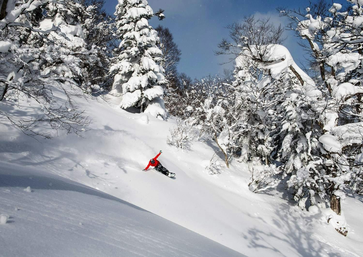 Snowboarder of undiscernible gender in red snowboarder jacket and black snowboarder pants hitting the slopes at Appi Kogen near Hachimantai City, Japan.