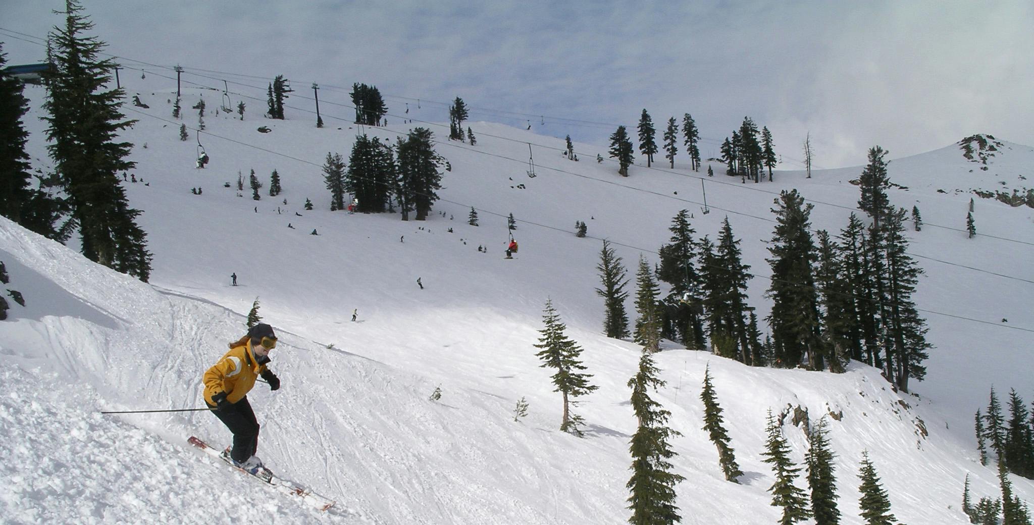 Skiing down Alpine Meadow slope