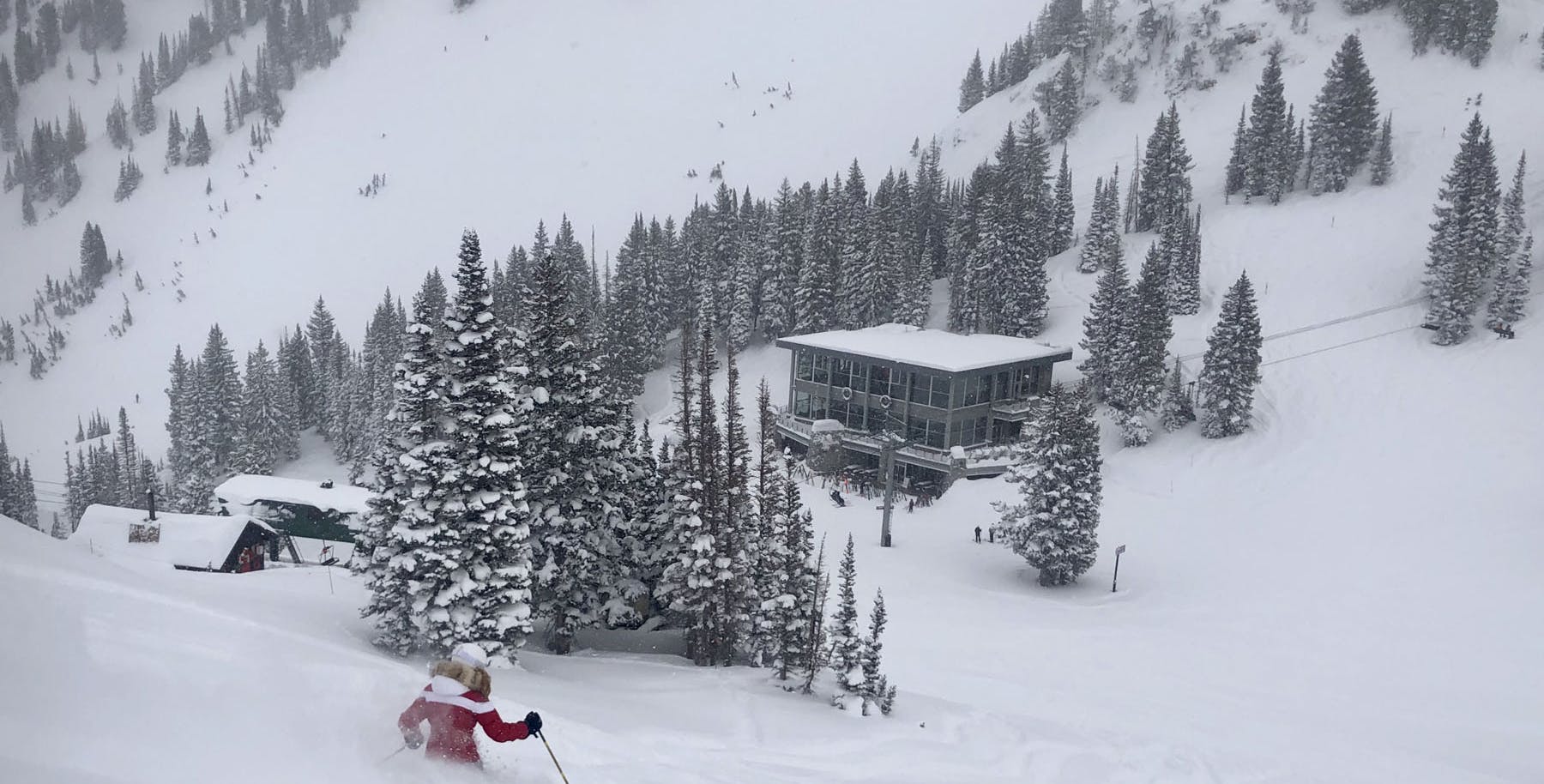 Skiing in powder snow at Alta