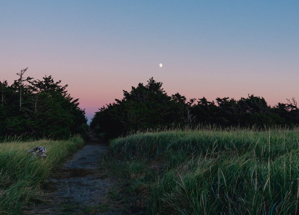 a landscape photo with grass in the foreground and trees in the background with a path through it. It is dusk.