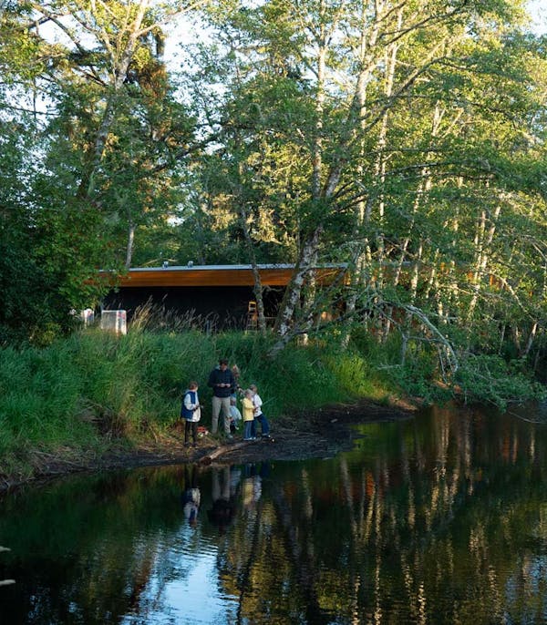 a photo of a pond and an adult and three children by it