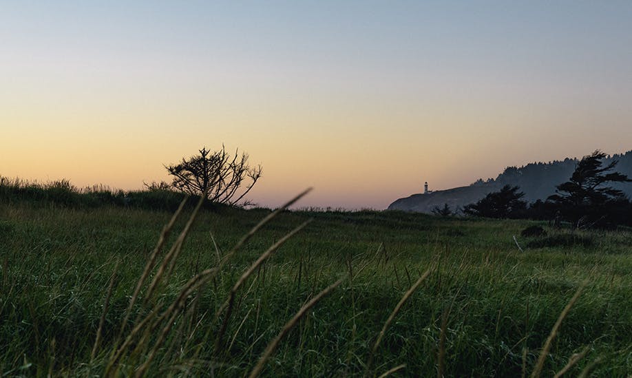 a sunset landscape with grass in the foreground