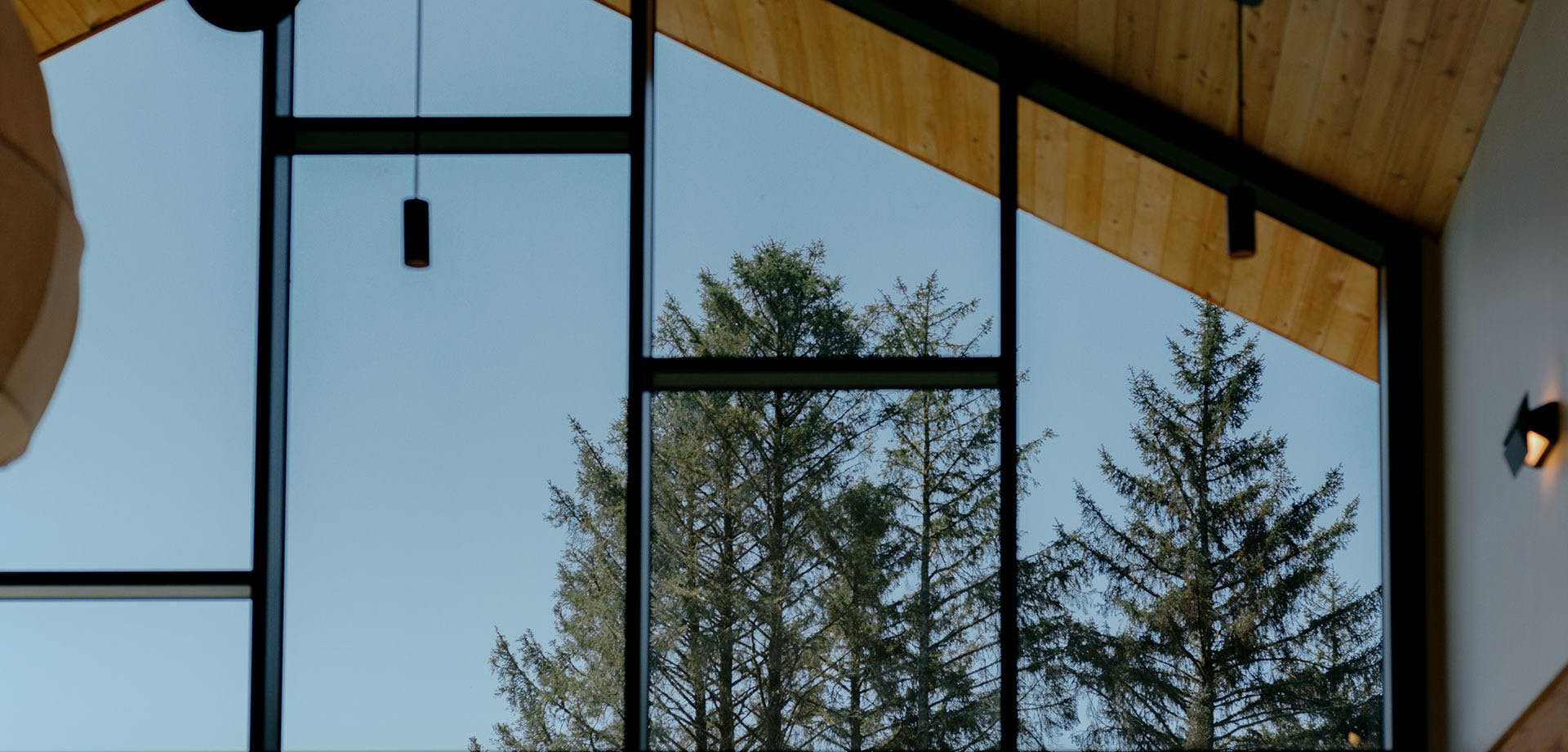trees through window