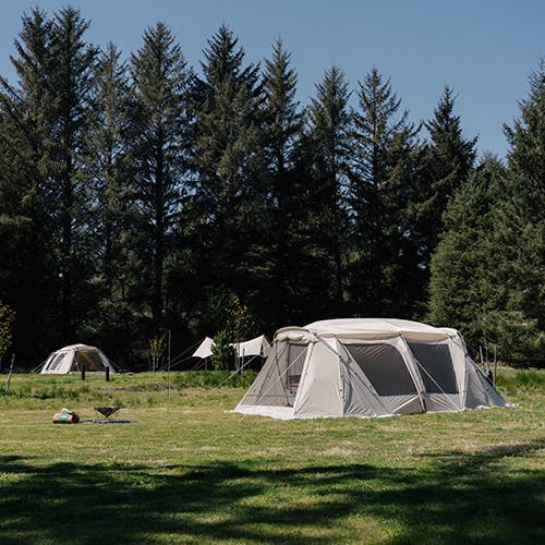 tents in field
