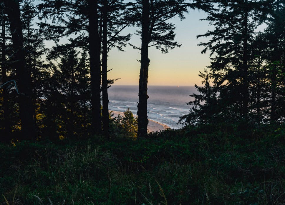 a photo of a beach at sunset through the trees