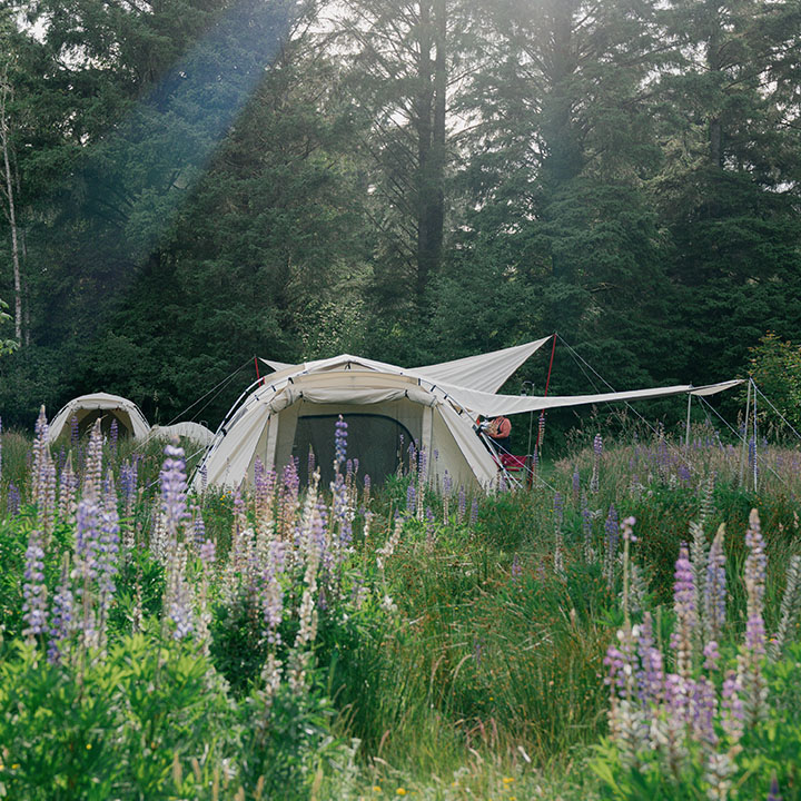 Snow Peak Campfield: Jyubako Suites