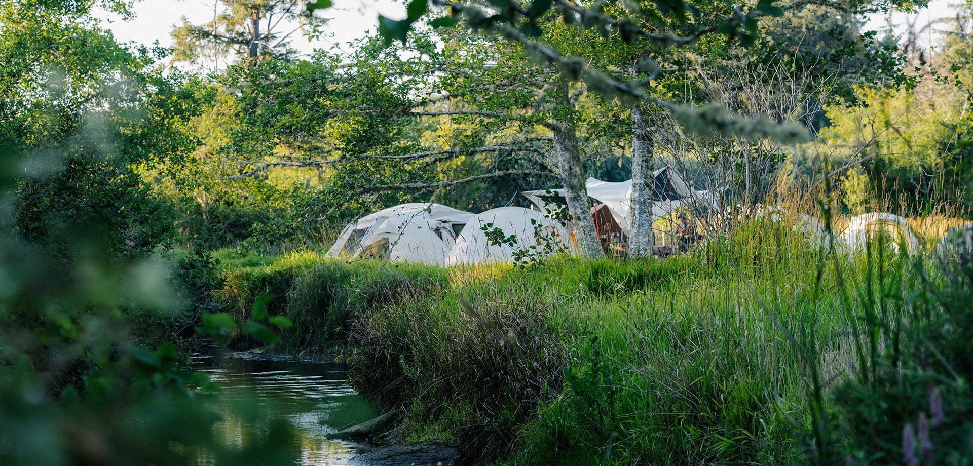 A photo of ivory snow peak tents in a green landscape