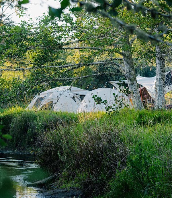 A photo of ivory snow peak tents in a green landscape