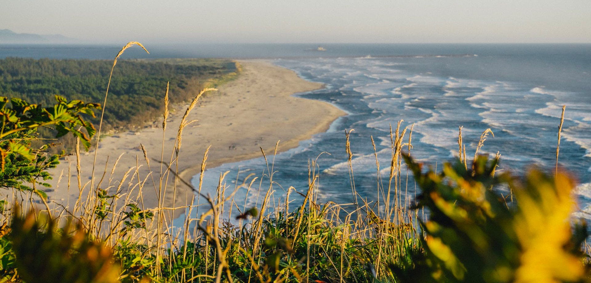 A photo of a coastline with grass and ferns in the foreground. there are waves and white water.