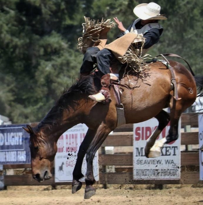 Rodeo photo