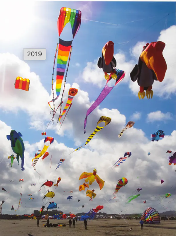 Kites in the sky