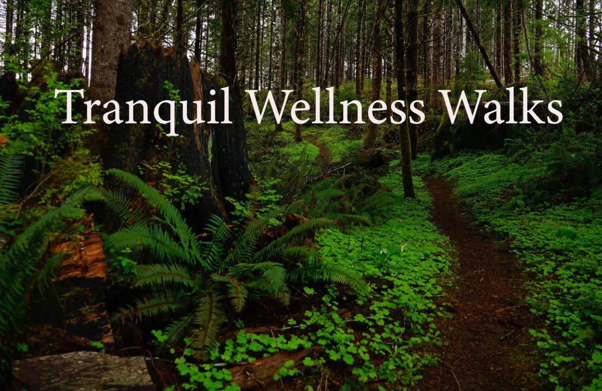 Tranquil Wellness Walks