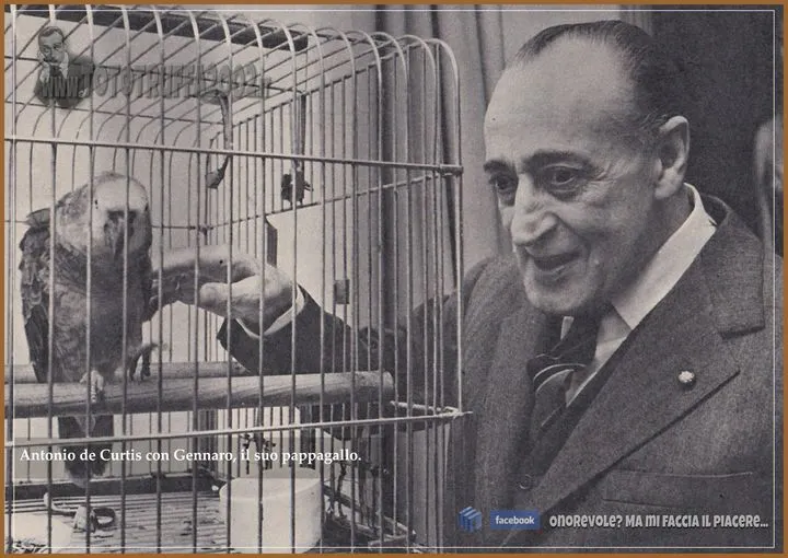 gennaro