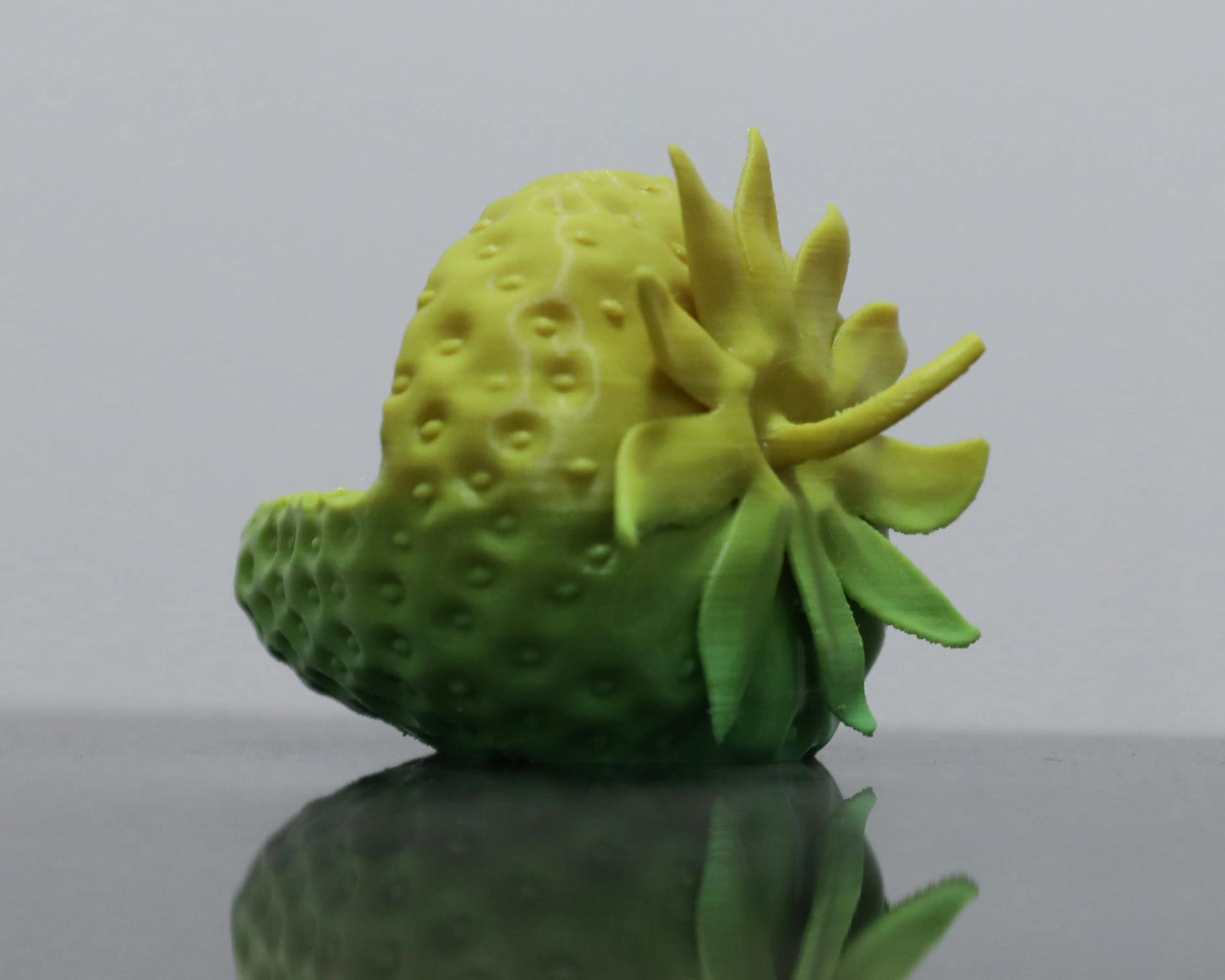 Trampled or in Your Hands, 2021 Polylactic acid 3D print.