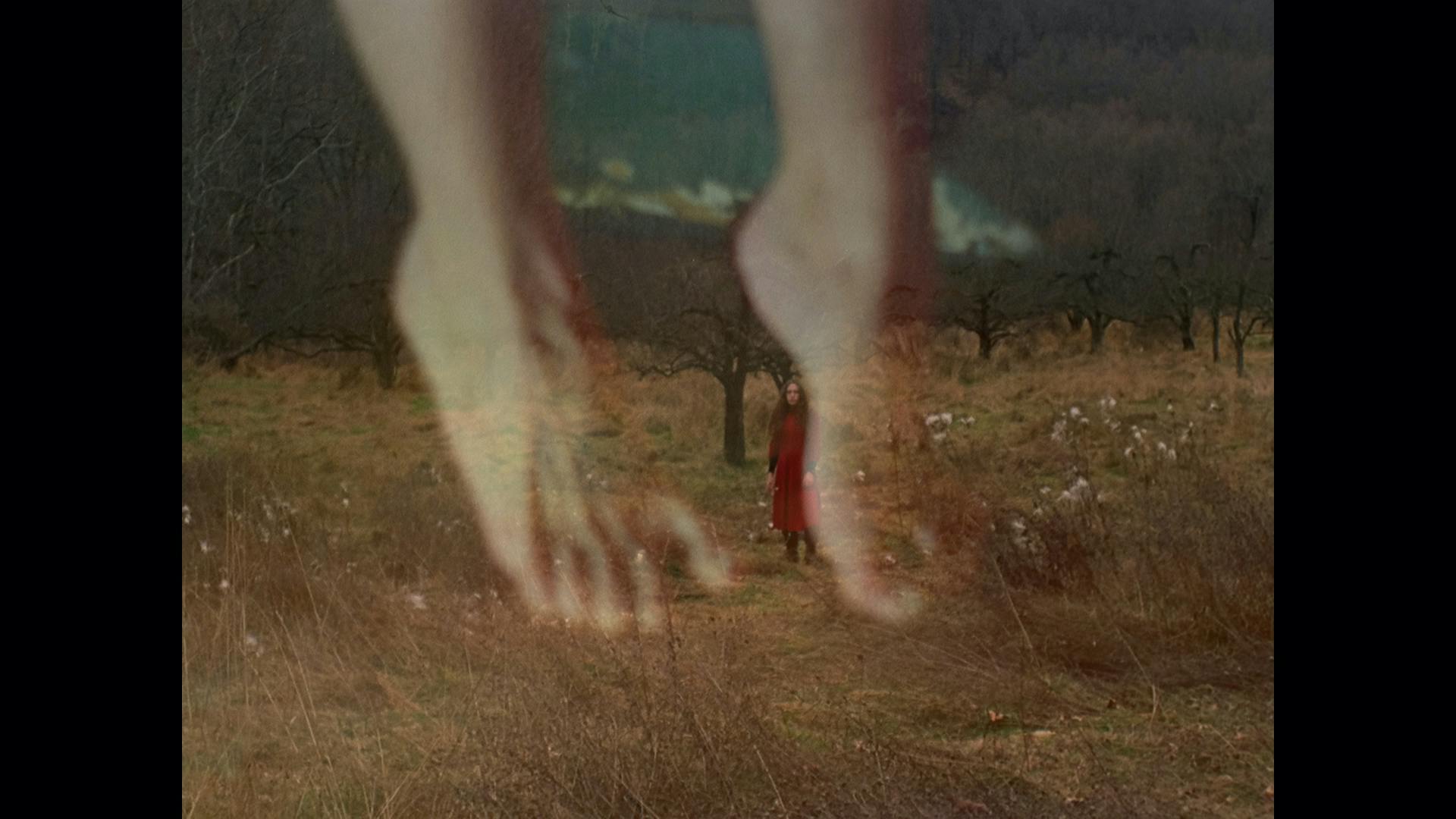 video.data.video_preview.alt