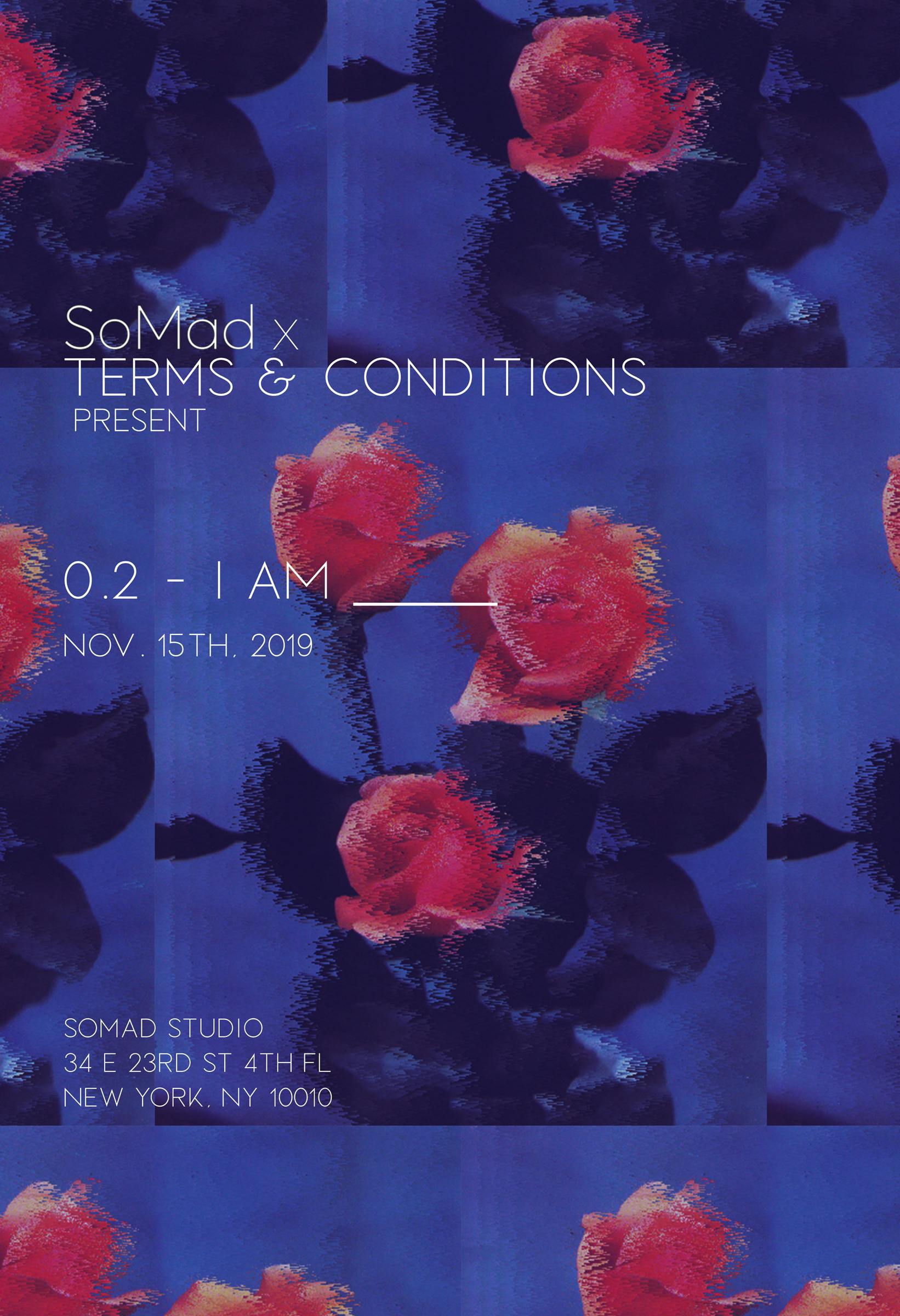 TERMS AND CONDITIONS 0.2