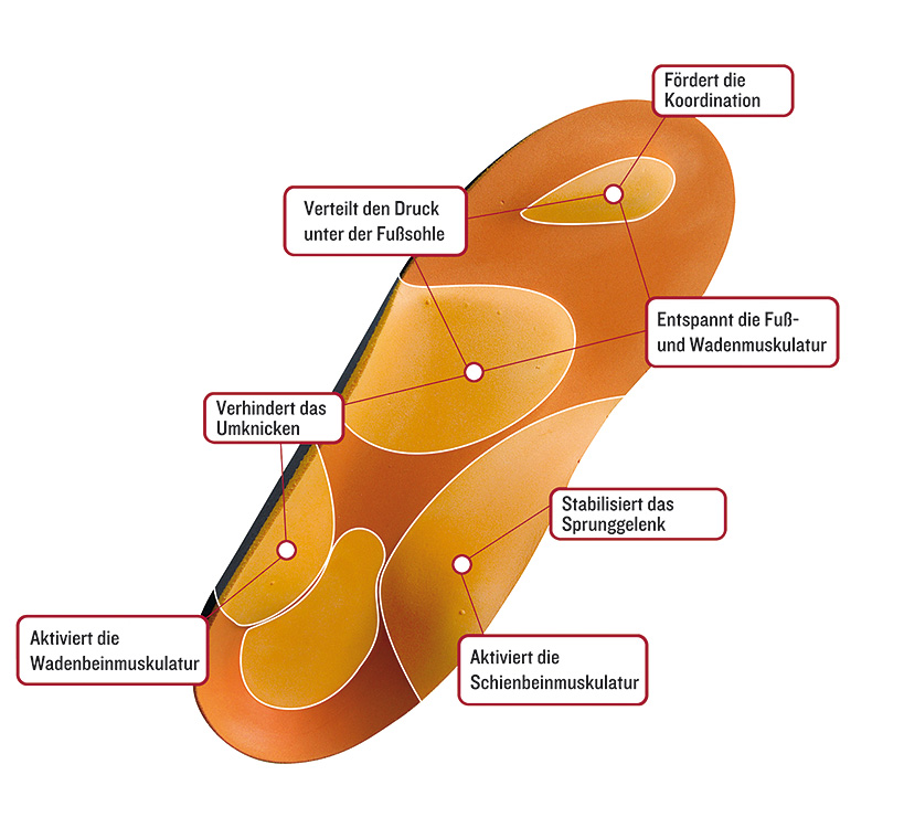 Aktiveinlage Gross - Fischer GmbH 