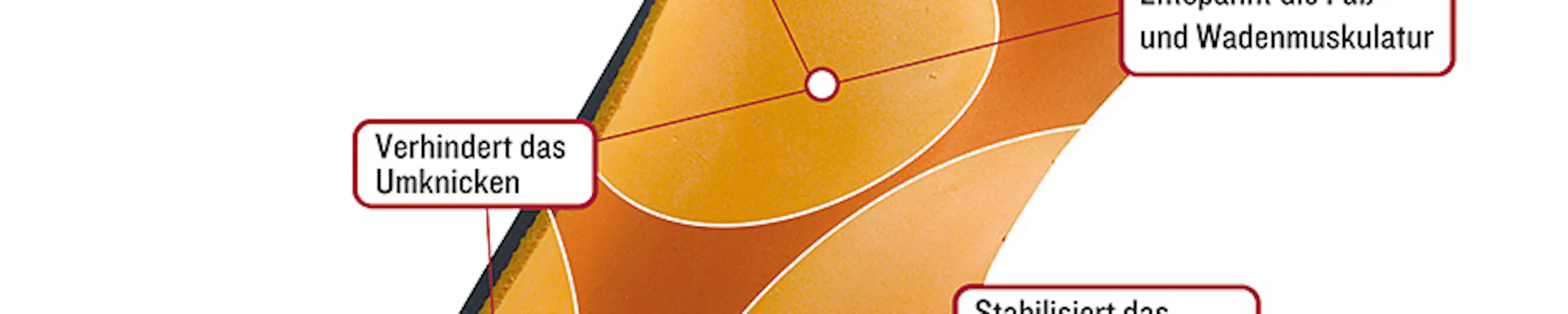 Aktiveinlage Gross - Fischer GmbH
