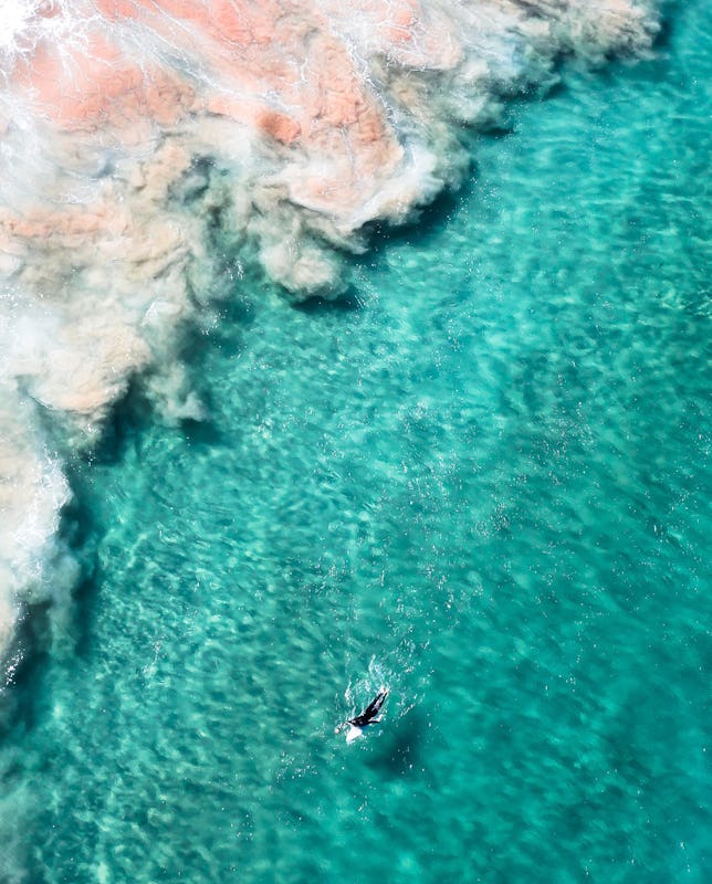 Aerial overlooking a person surfing off Freshwater Beach, Freshwater.