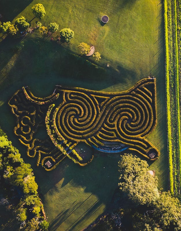 Aerial of Bago Maze and Winery in Wauchope