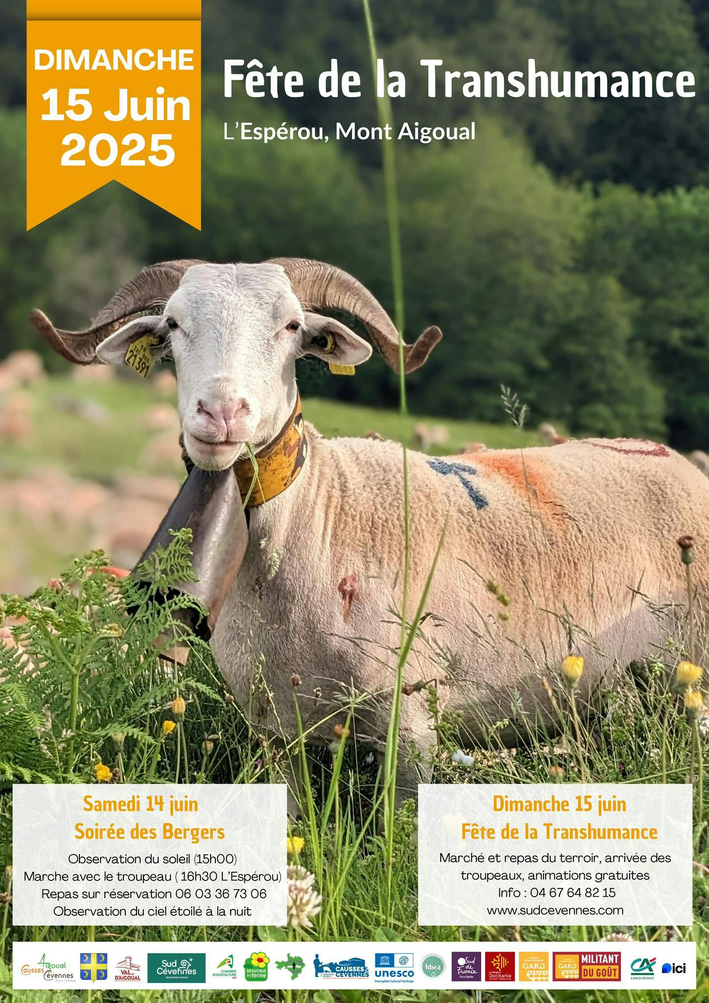 Fête de la transhumance