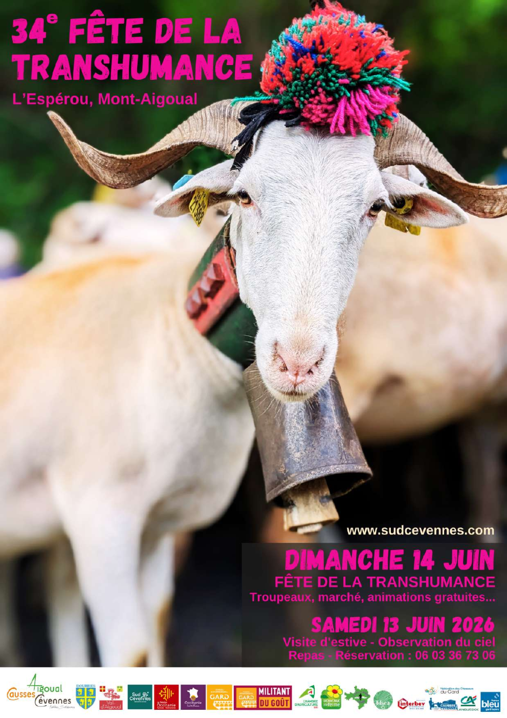 Fête transhumance