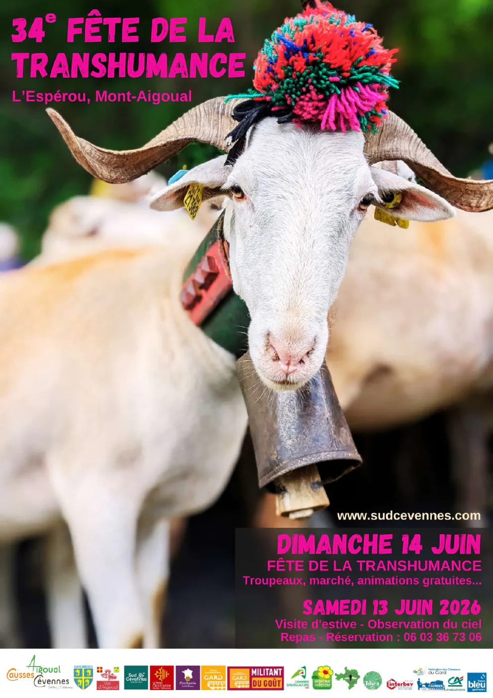 Fête transhumance