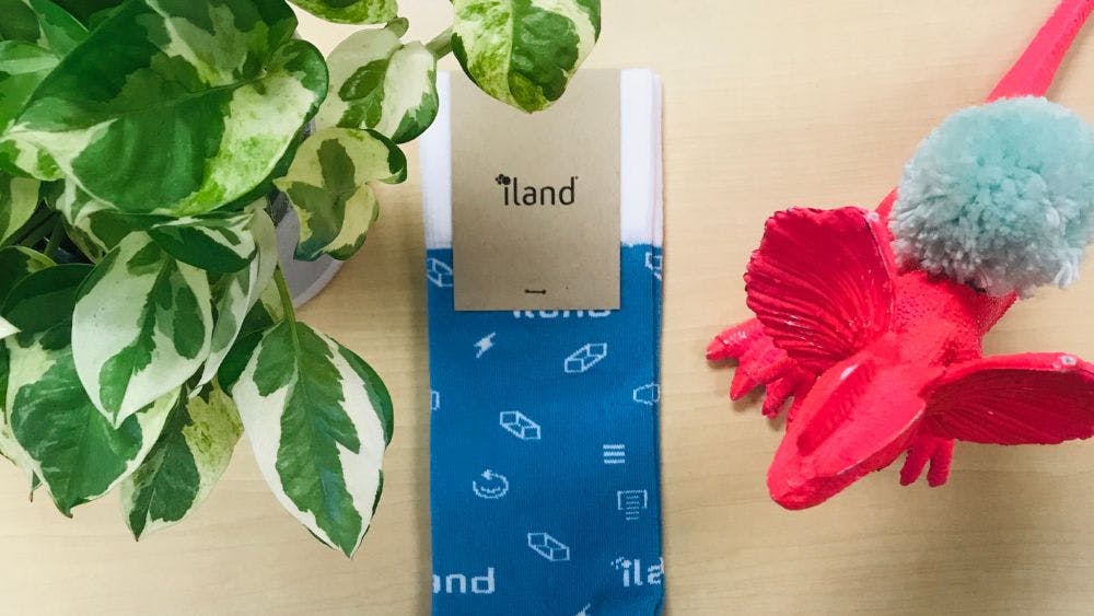 Custom socks for iland featuring a blue pattern with repeating icons and logo on a wooden desk with a plan and a red toy dragon
