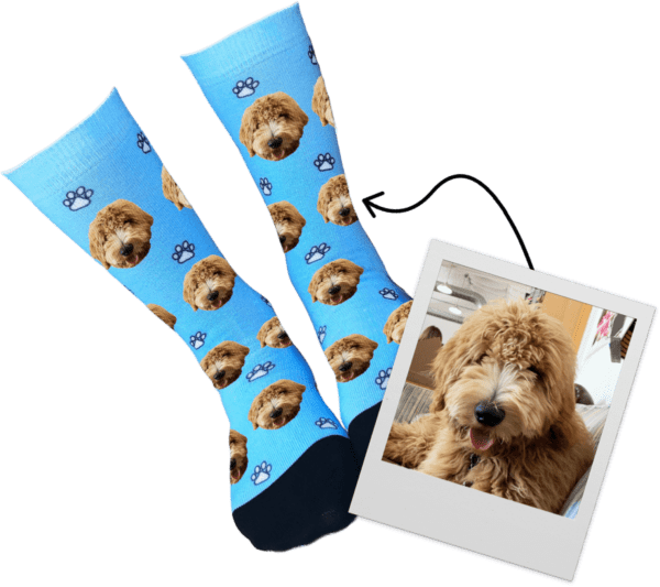 Dog socks