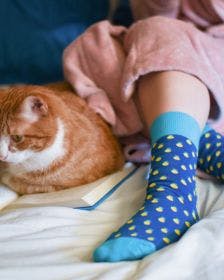branded socks on a remote employee being worn in bed with a cat and a book