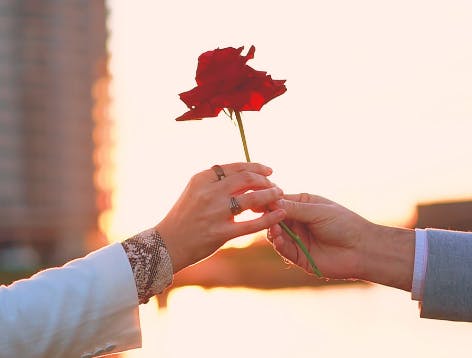 Man and woman exchanging rose