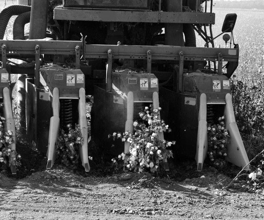 black and white image of a cotton gin harvesting mature cotton in a field
