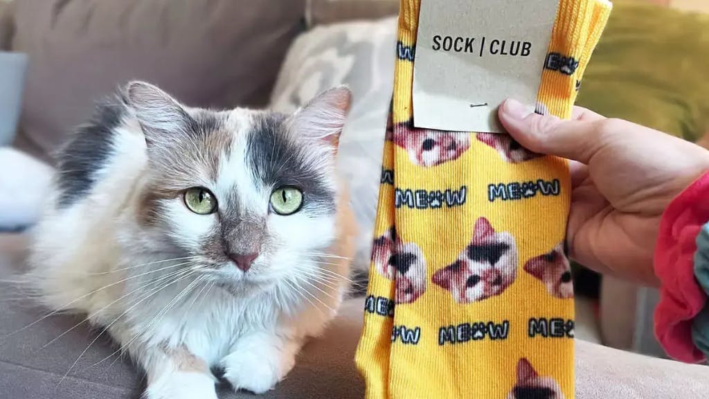 Custom cat face socks make the perfect gift for cat lovers.