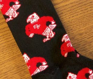 Custom branded socks featuring the mascot of St Francis High School that were used as a back to school gift and fundraiser in the high school bookstore