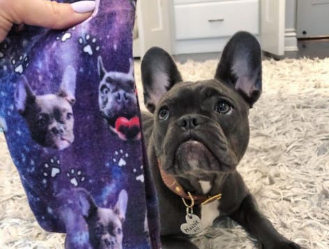 Black french bulldog laying next to purple galaxy pets socks with my dogs face on them 