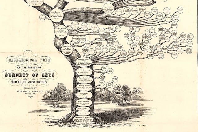 Burnett Family from SoG's sheet pedigree collections and on TreeSearch™