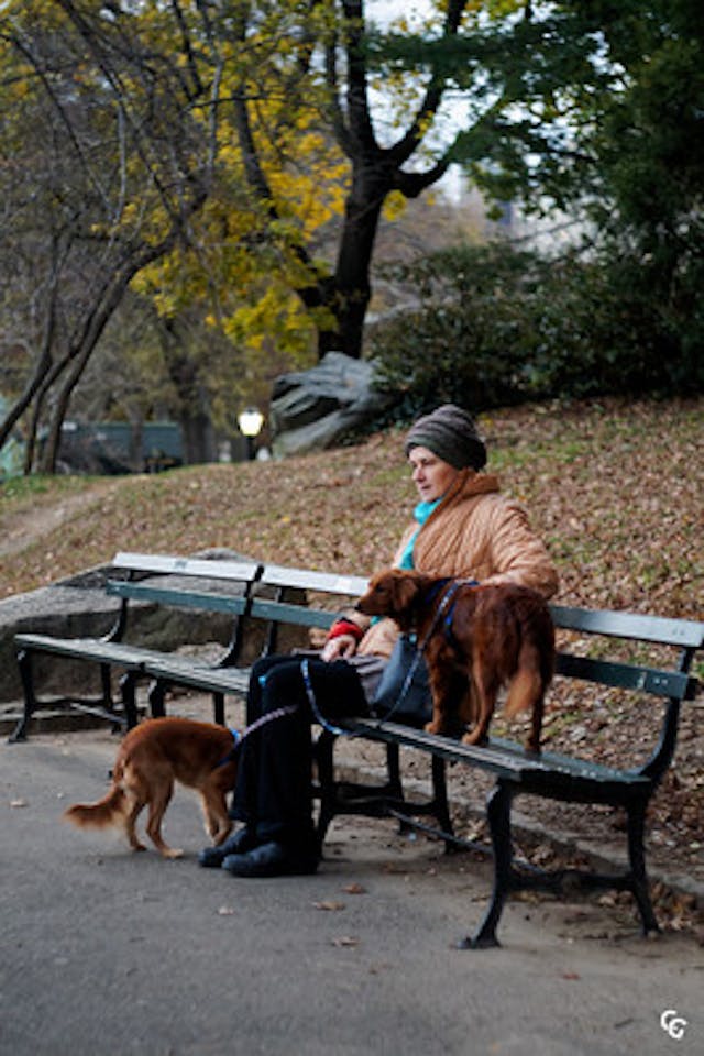 Thinking in the parc
