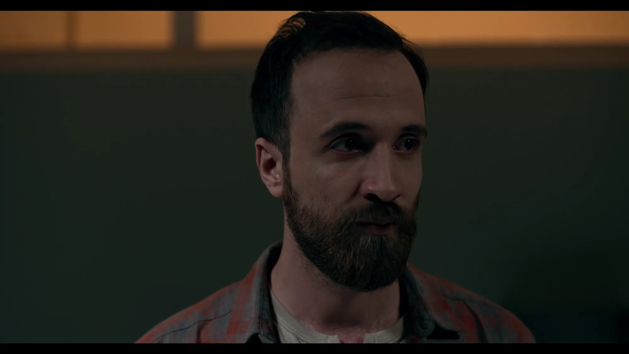 Woods (2016) — photo 1