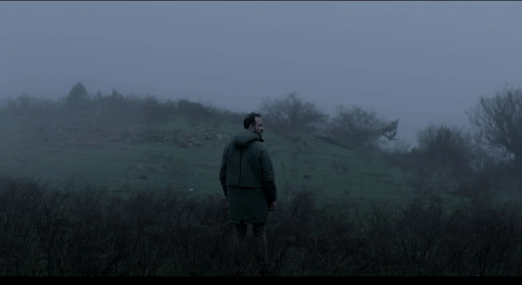 Woods (2016)