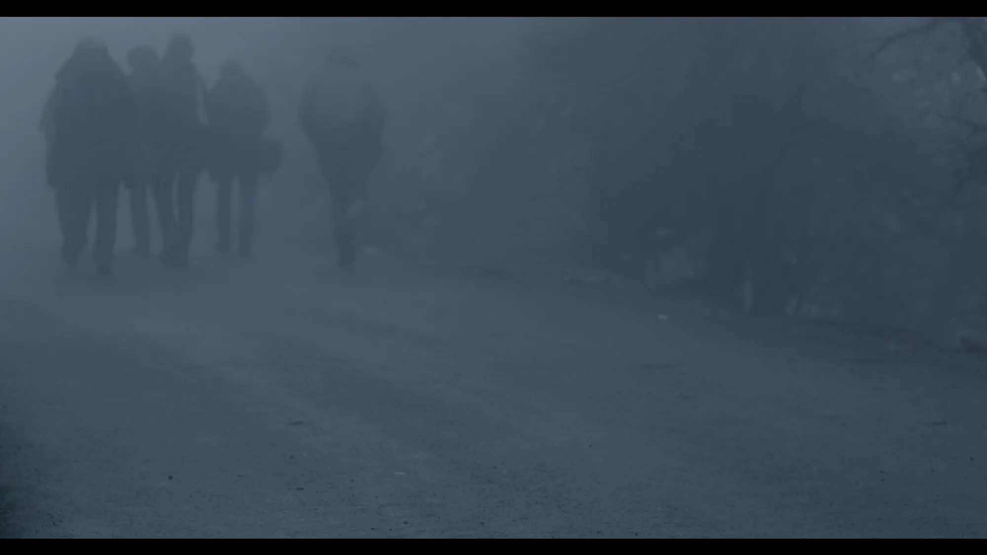 Woods (2016) — photo 6