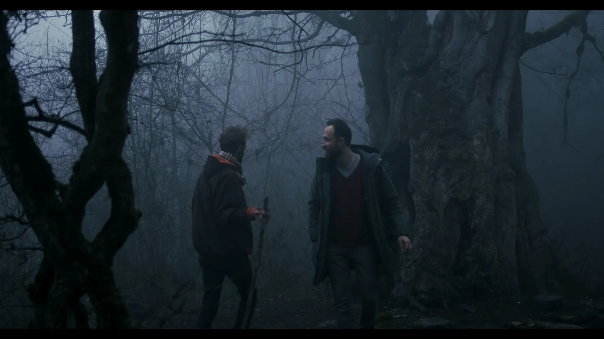 Woods (2016) — photo 4