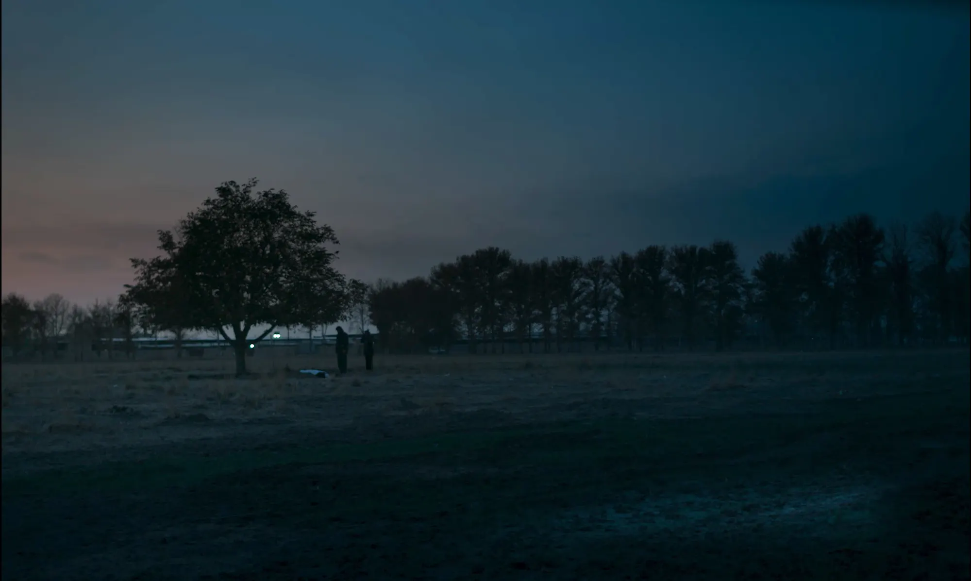 Passing (2021)